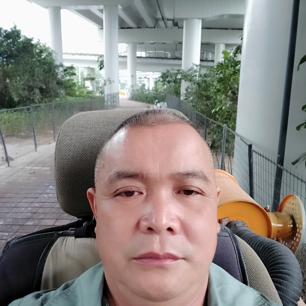 蓝莓和老实的照片