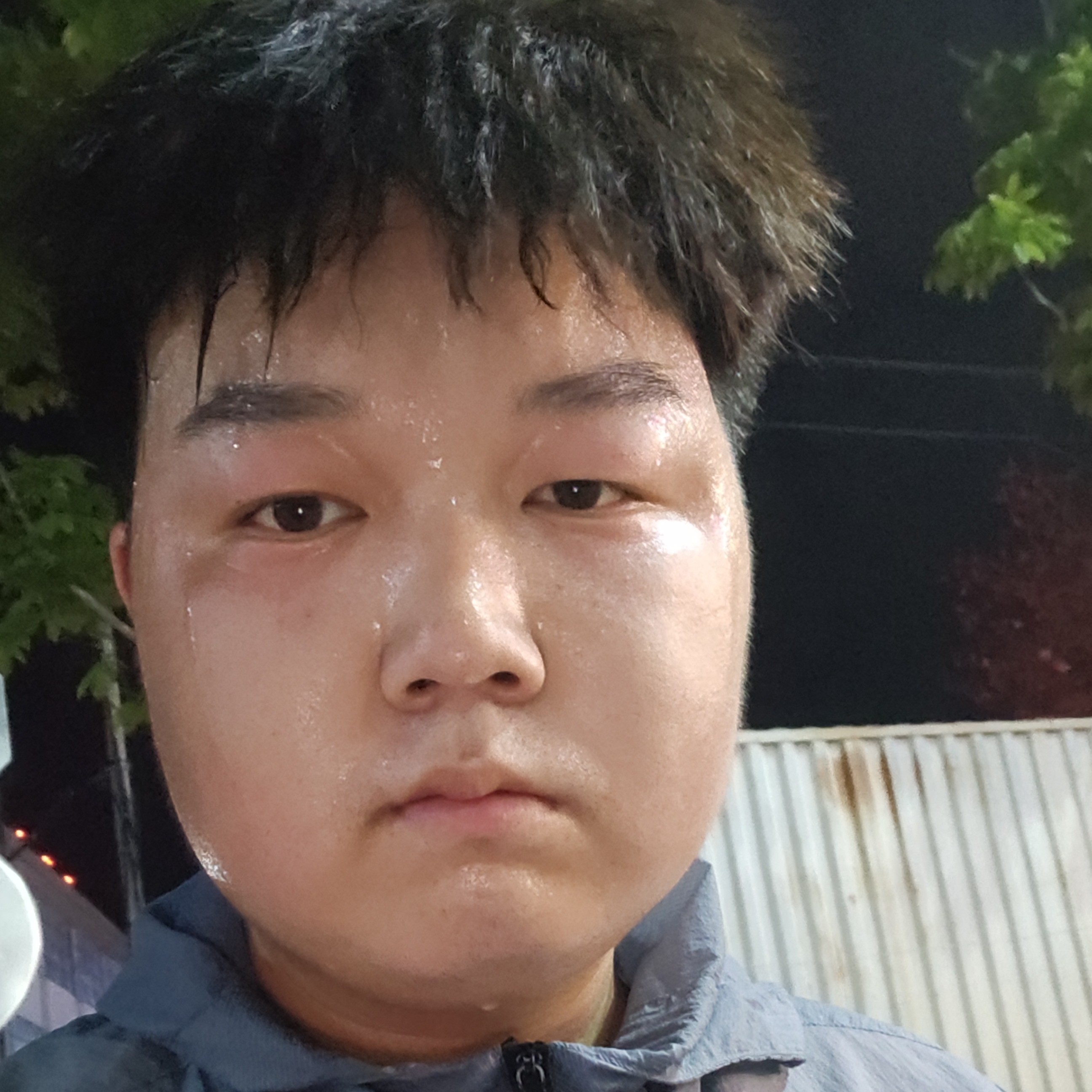 和谐小鸽子744的照片