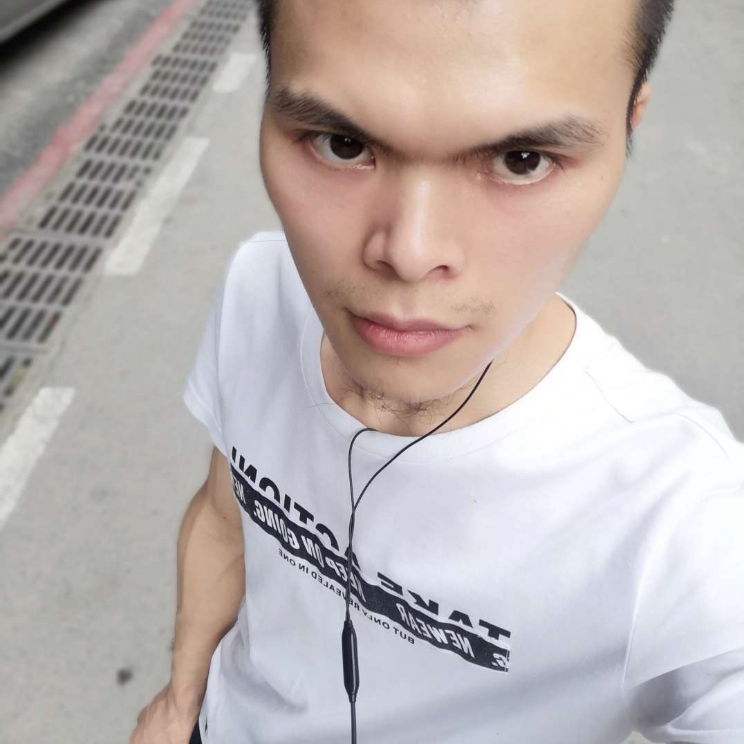 斑马回眸旧时光的照片