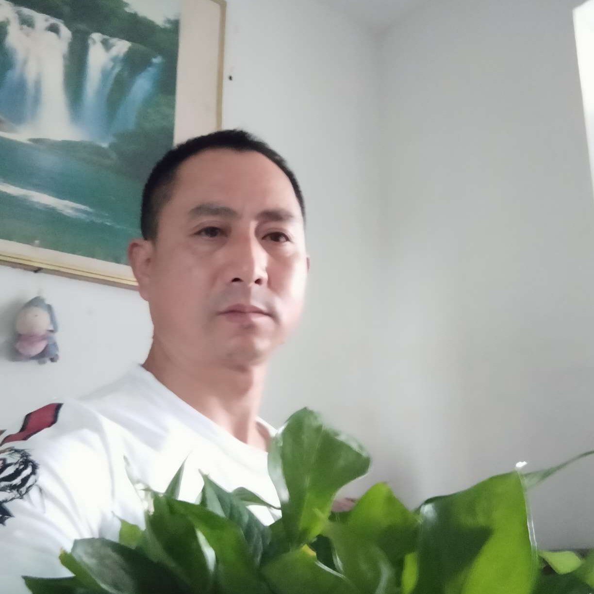 电脑改变眼睛大的照片