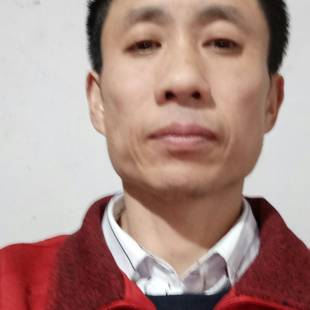 闪闪手机的照片