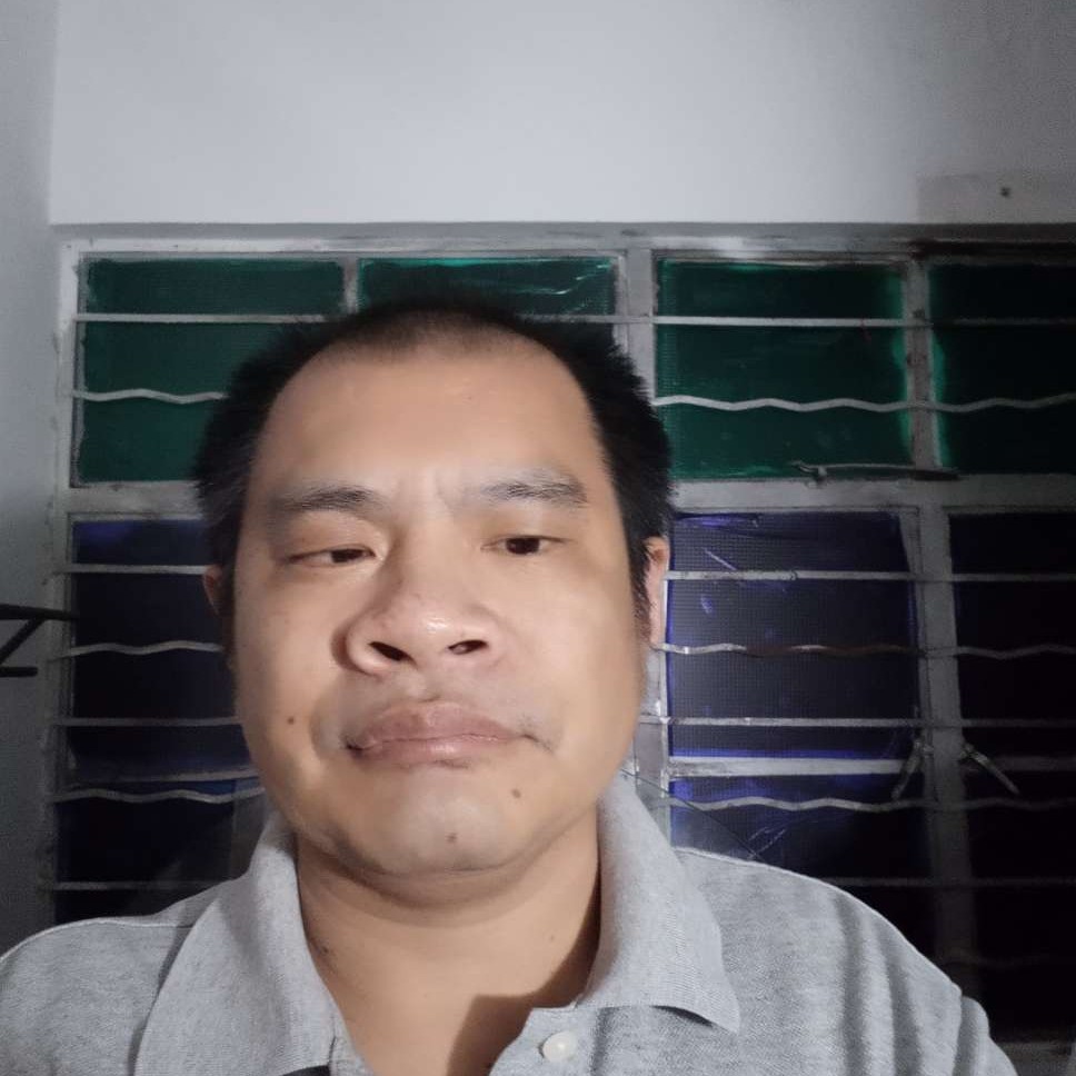 聪明凝眸黑猫的照片