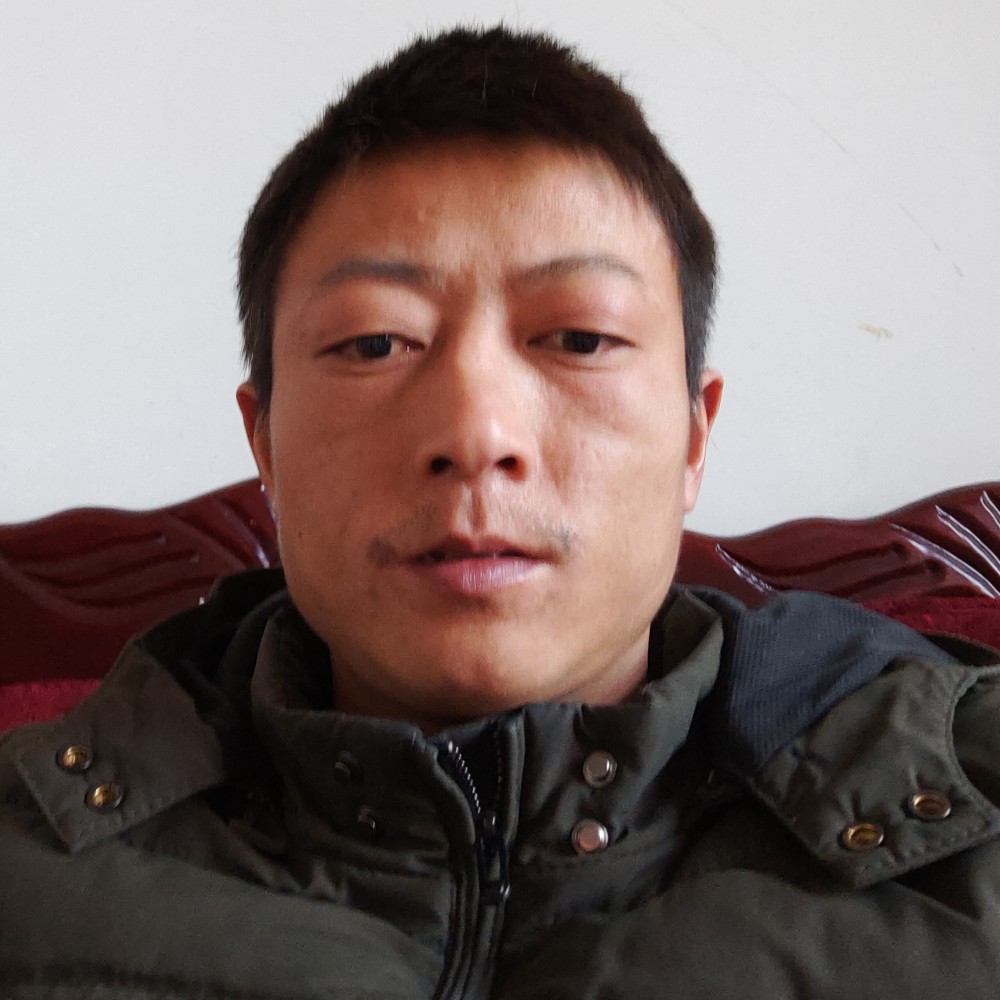 小海豚打称心的照片