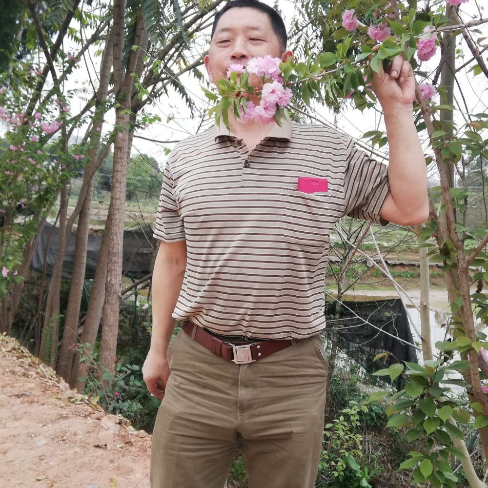 小白菜有微笑的照片
