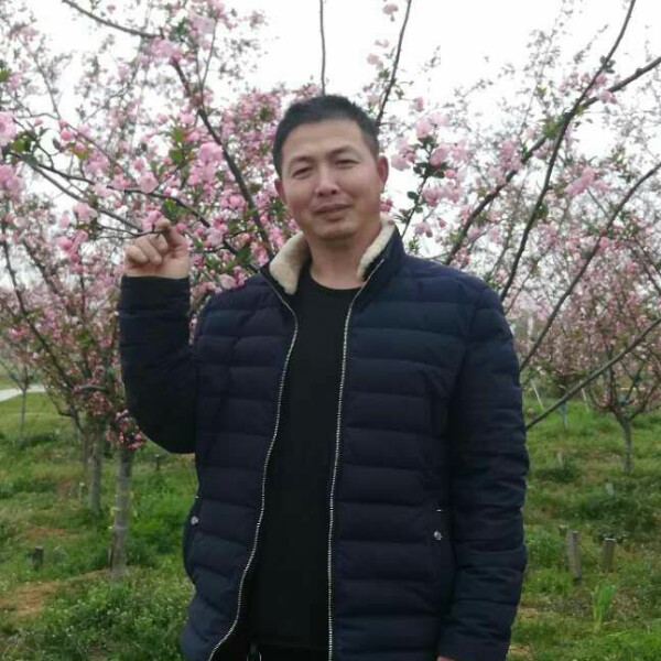 男人寻缘的照片