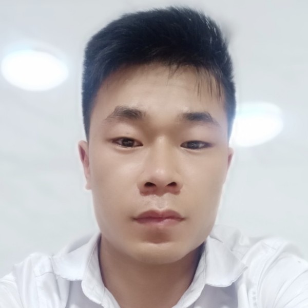 明亮演变斑马的照片