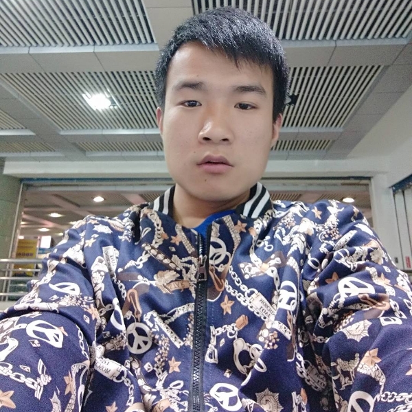 灵巧红牛的照片