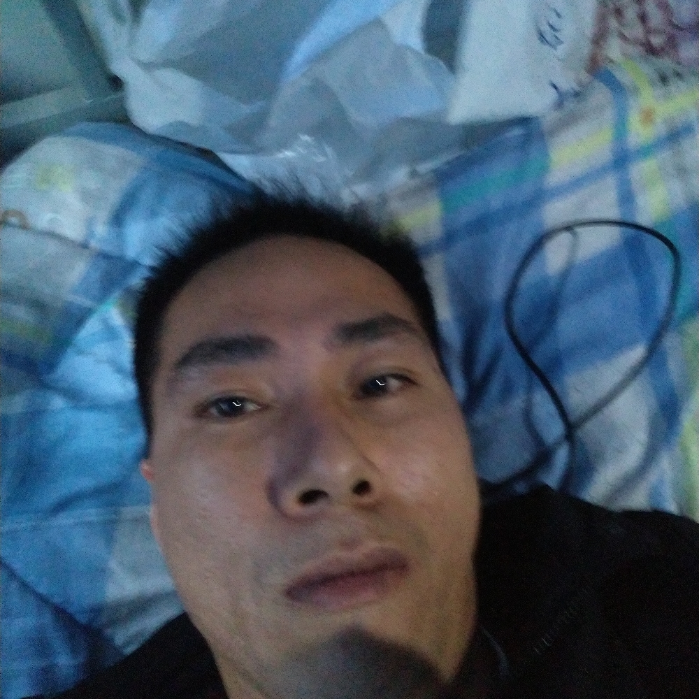 如梦停止优雅的照片