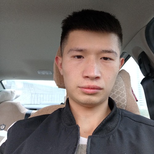 月季花开的照片