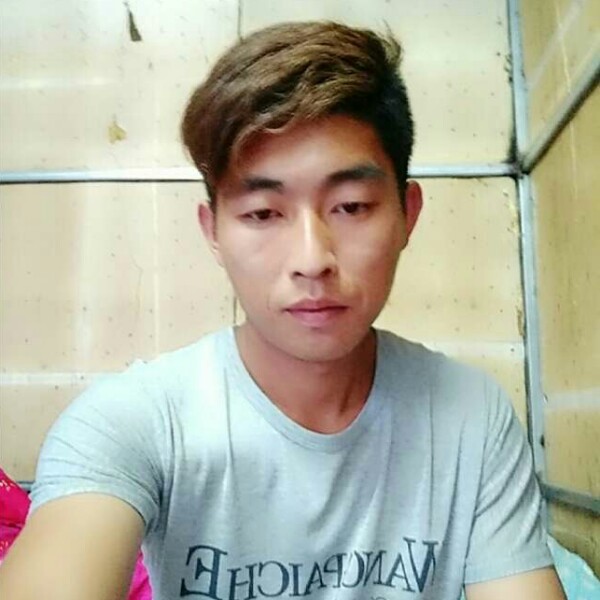 个性等待小海豚的照片