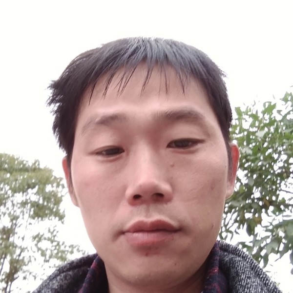 深情有翅膀的照片