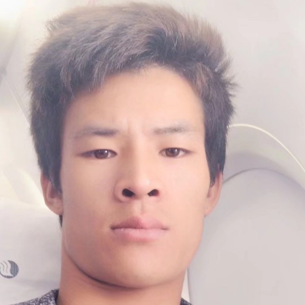 纸鹤闻长情的照片