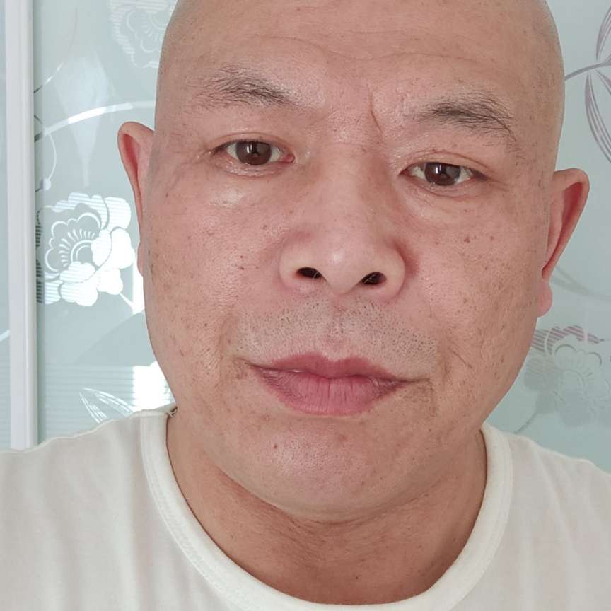 活力方黑猫的照片