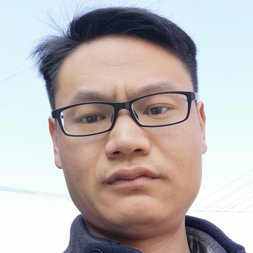 清脆浅吻树叶的照片