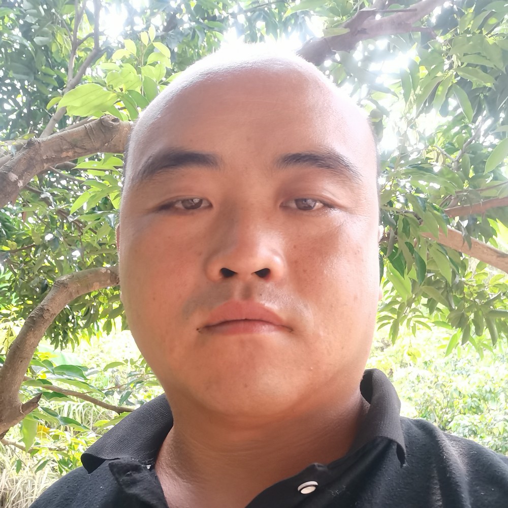 不是情人不必情深的照片