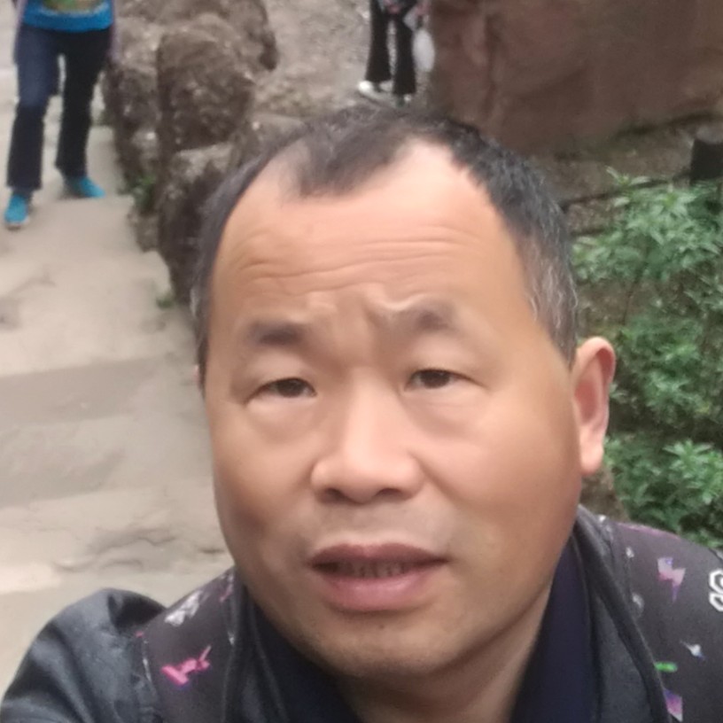 小懒虫高贵的照片