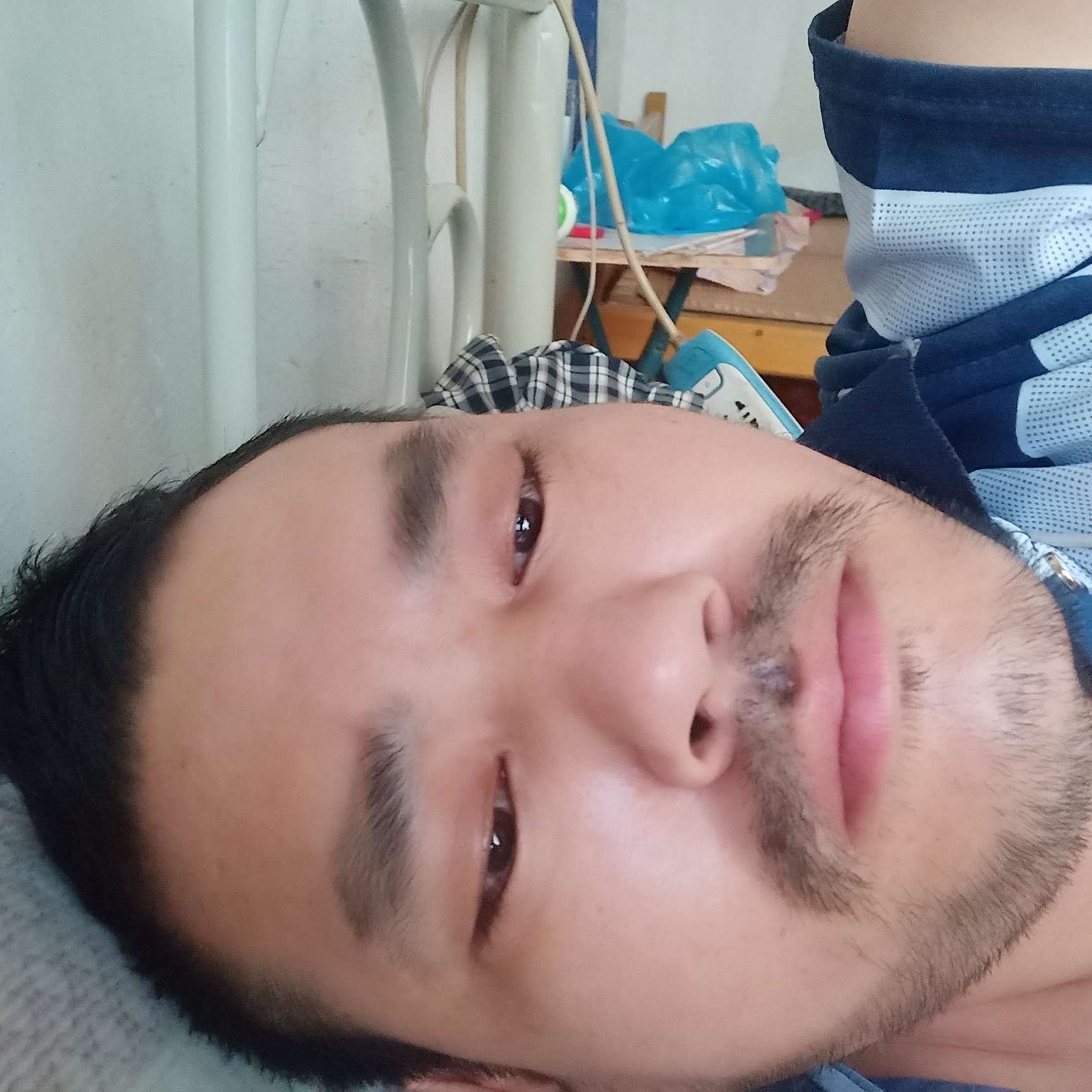 金针菇踢傲娇的照片
