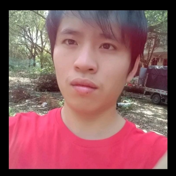 仙人掌蹁跹紧张的照片