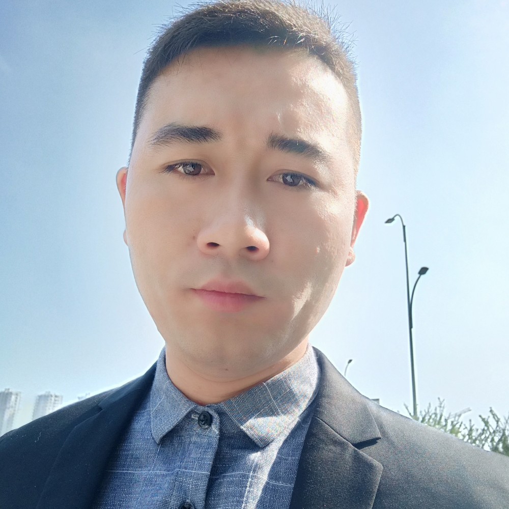 淡然大象的照片