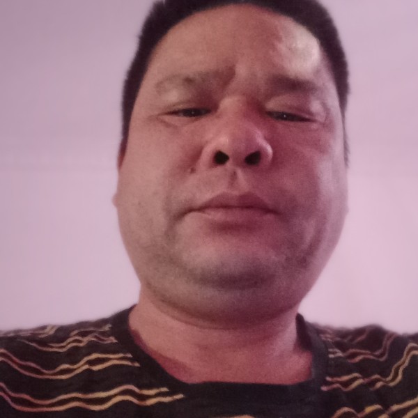 黄金叶。的照片