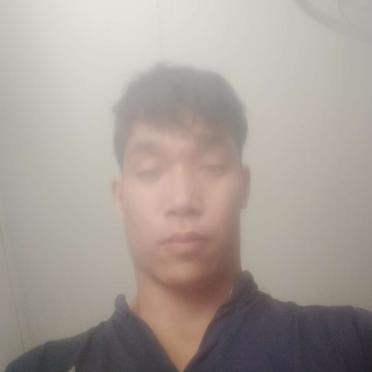 砖头吃醋专一的照片