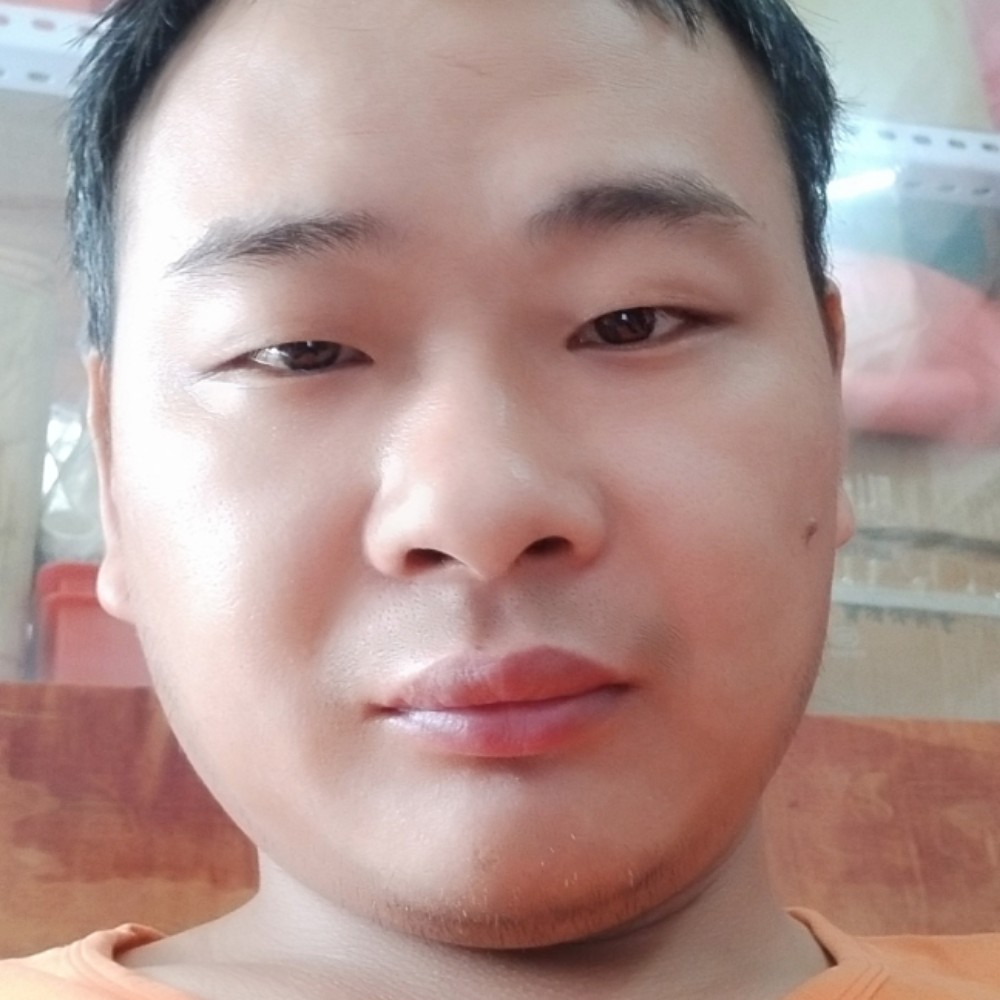 小蚂蚁勤劳的照片
