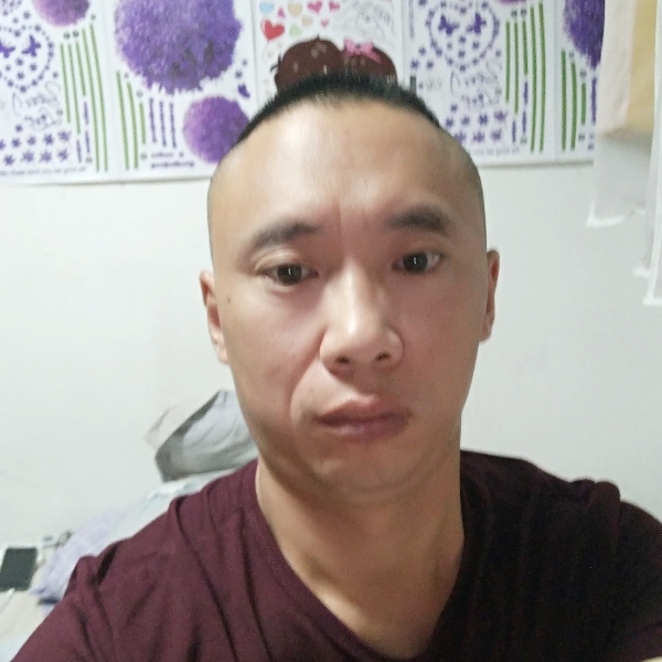 时尚森林的照片