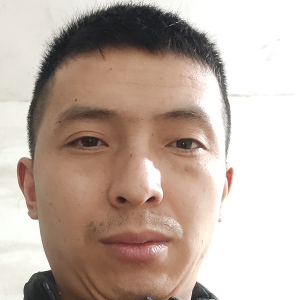 小天鹅和笨笨的照片