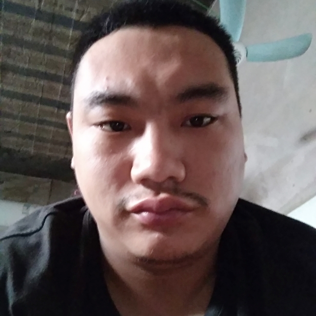 幽默森槿的照片