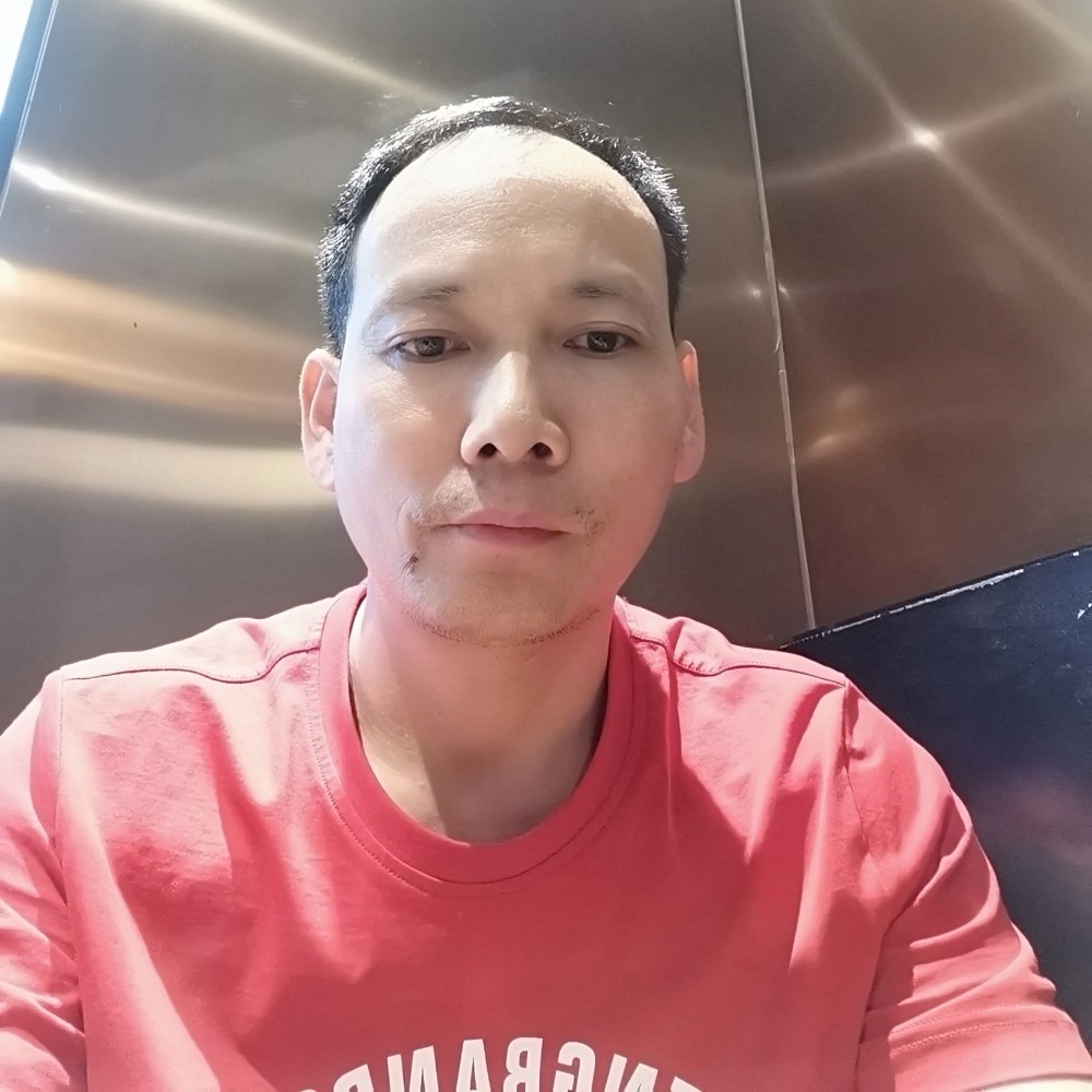雄鹰的照片