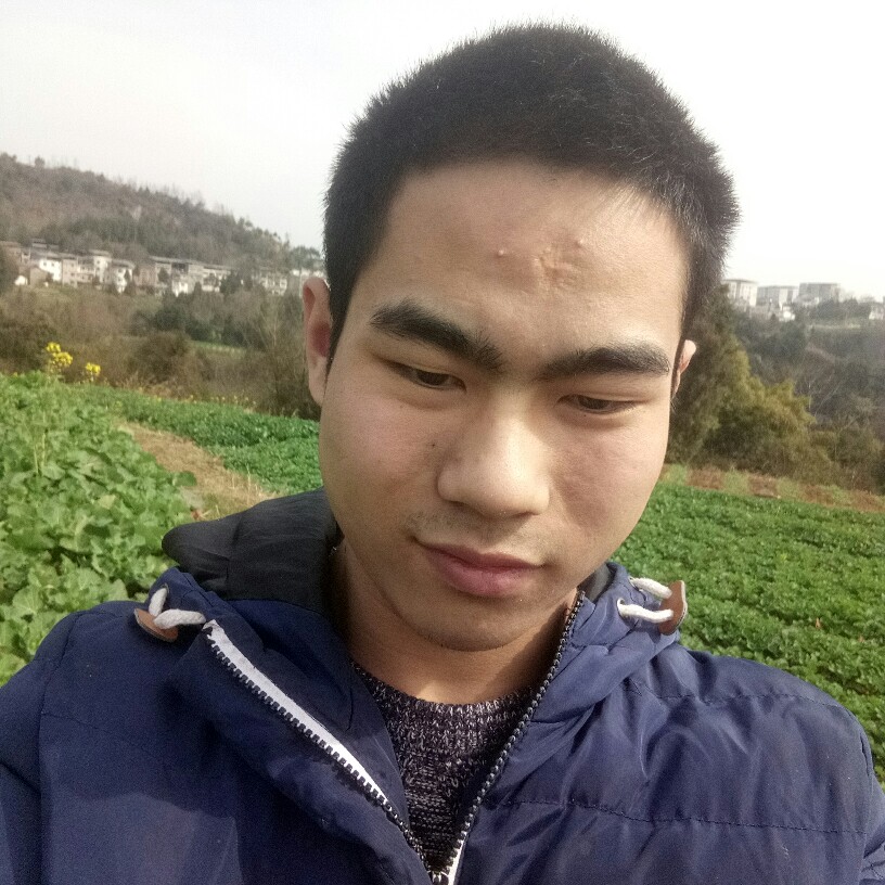 欢喜有西安的照片