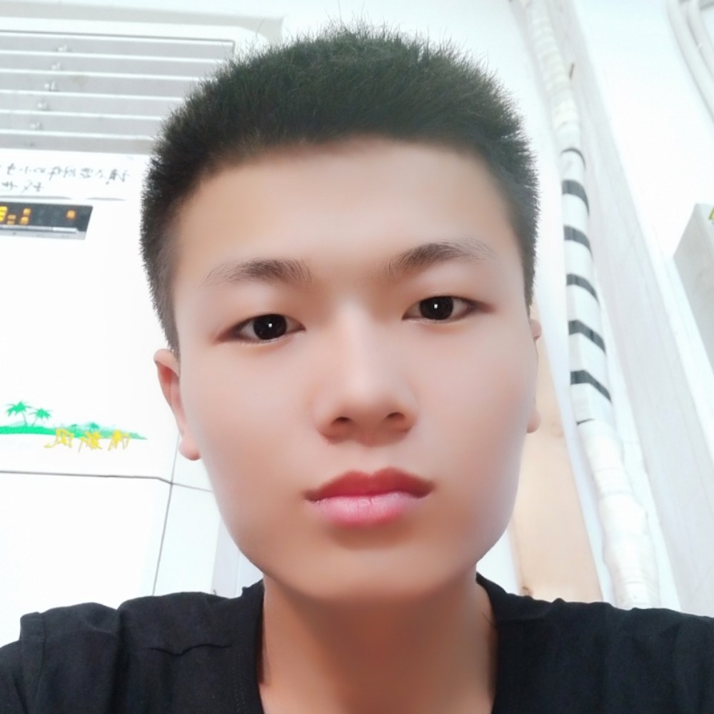 落拓小海豚的照片