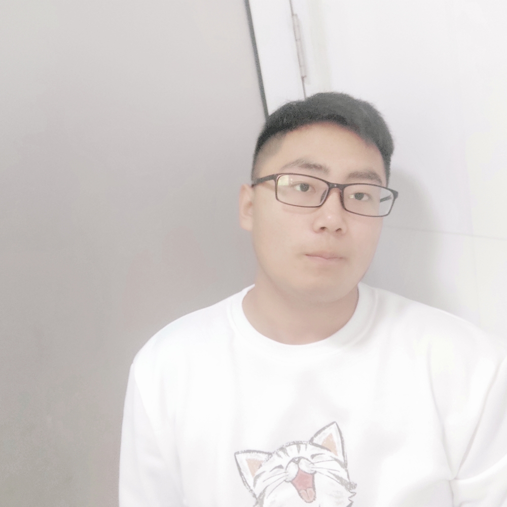 汽车整齐的照片