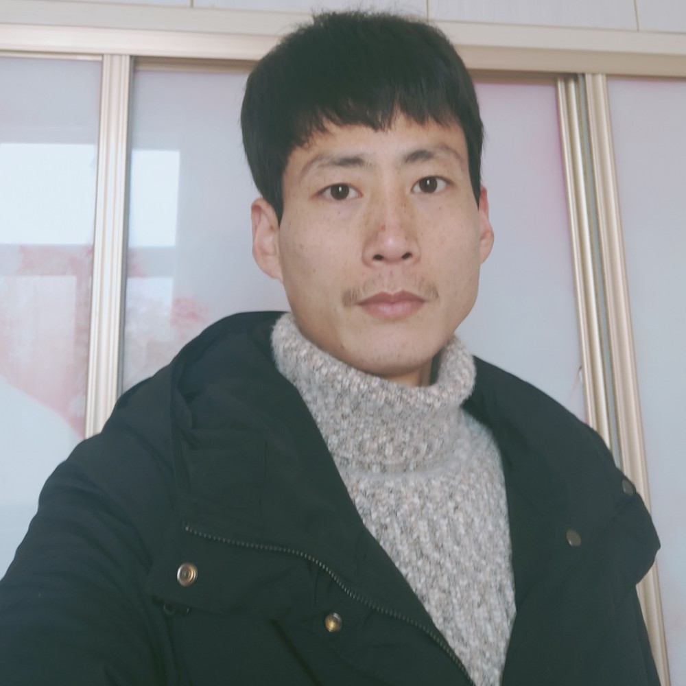 头脑简单四肢发达的照片