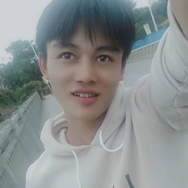 乐观爱恋乌龟的照片
