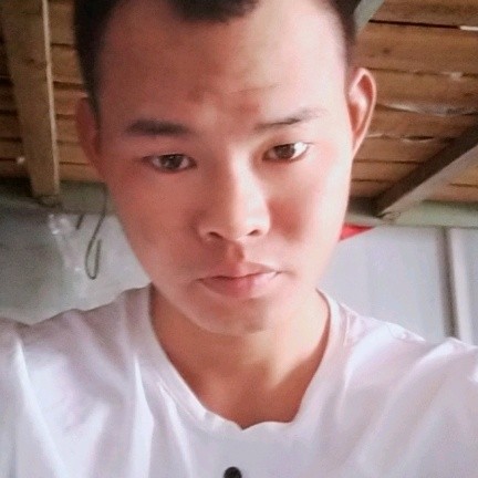 26，二十七二十八的照片