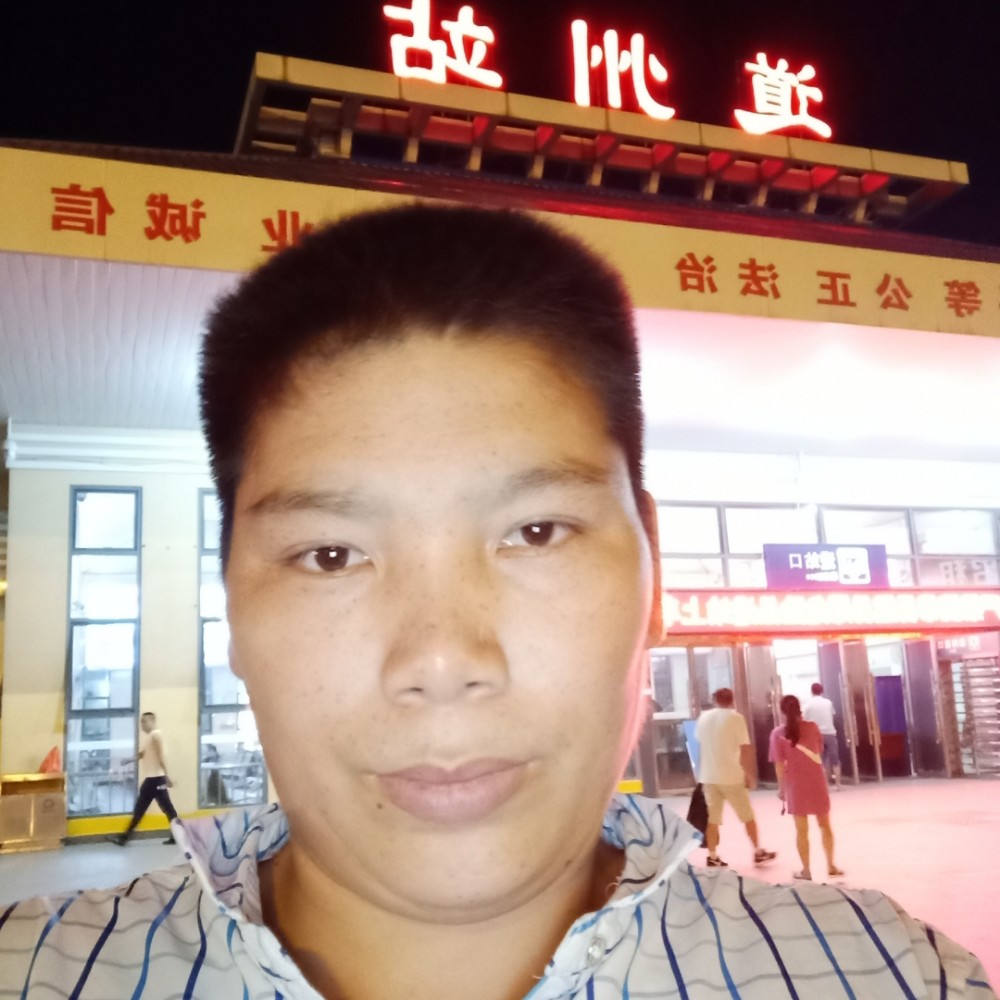 怕孤单愿刺猬的照片