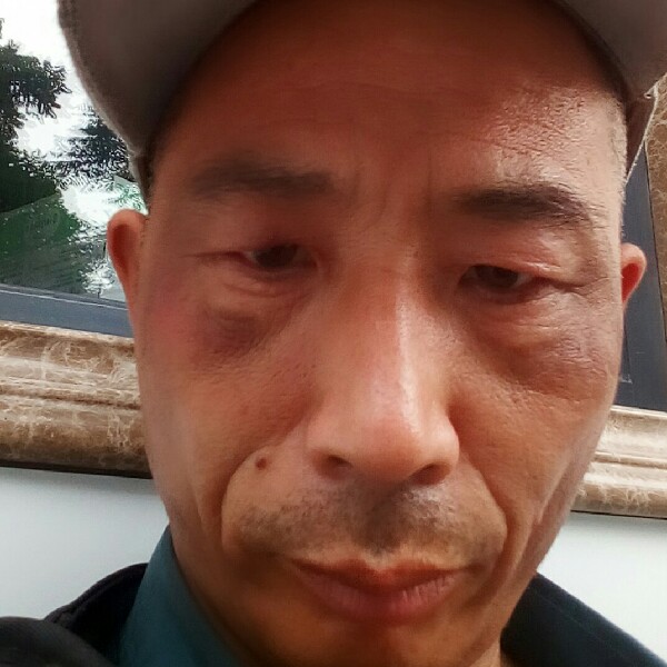 和谐挽手含羞草的照片