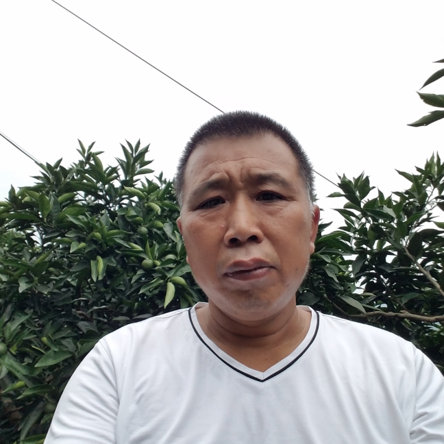 饱满如梦海洋的照片