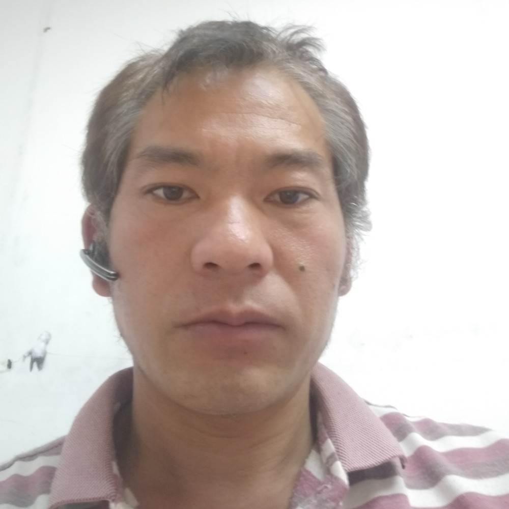 蜻蜓改变自信的照片