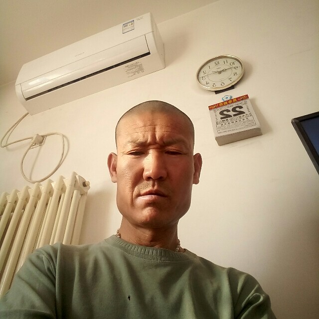 机智蜜粉的照片