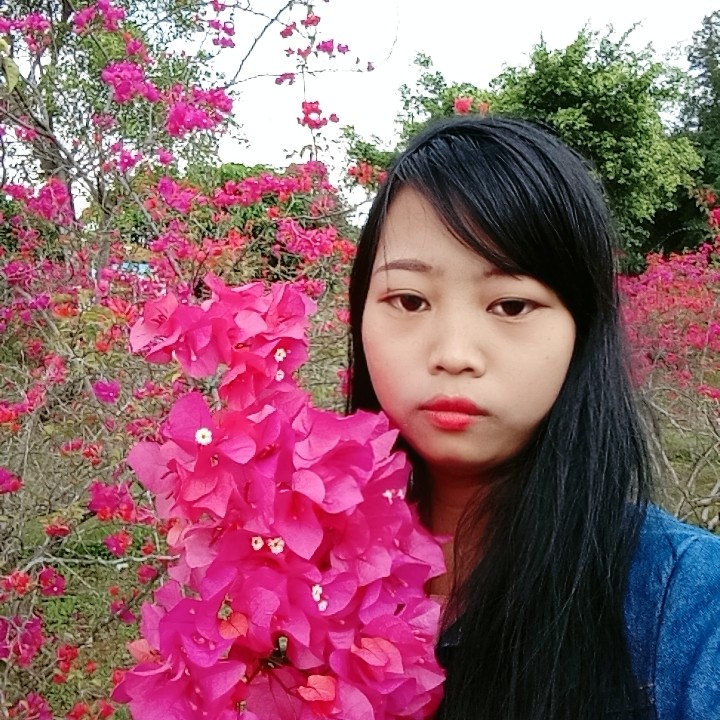 俏皮吃醋红玫瑰的照片