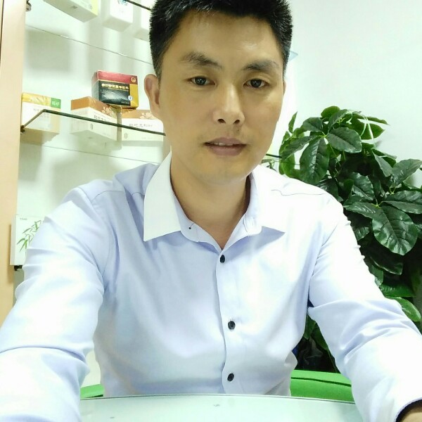 觅食的狼的照片