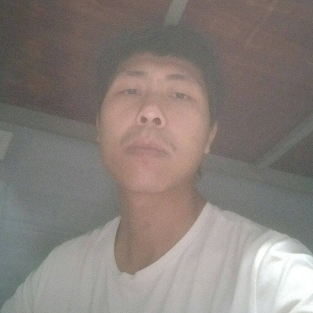 菠萝1辈子的照片