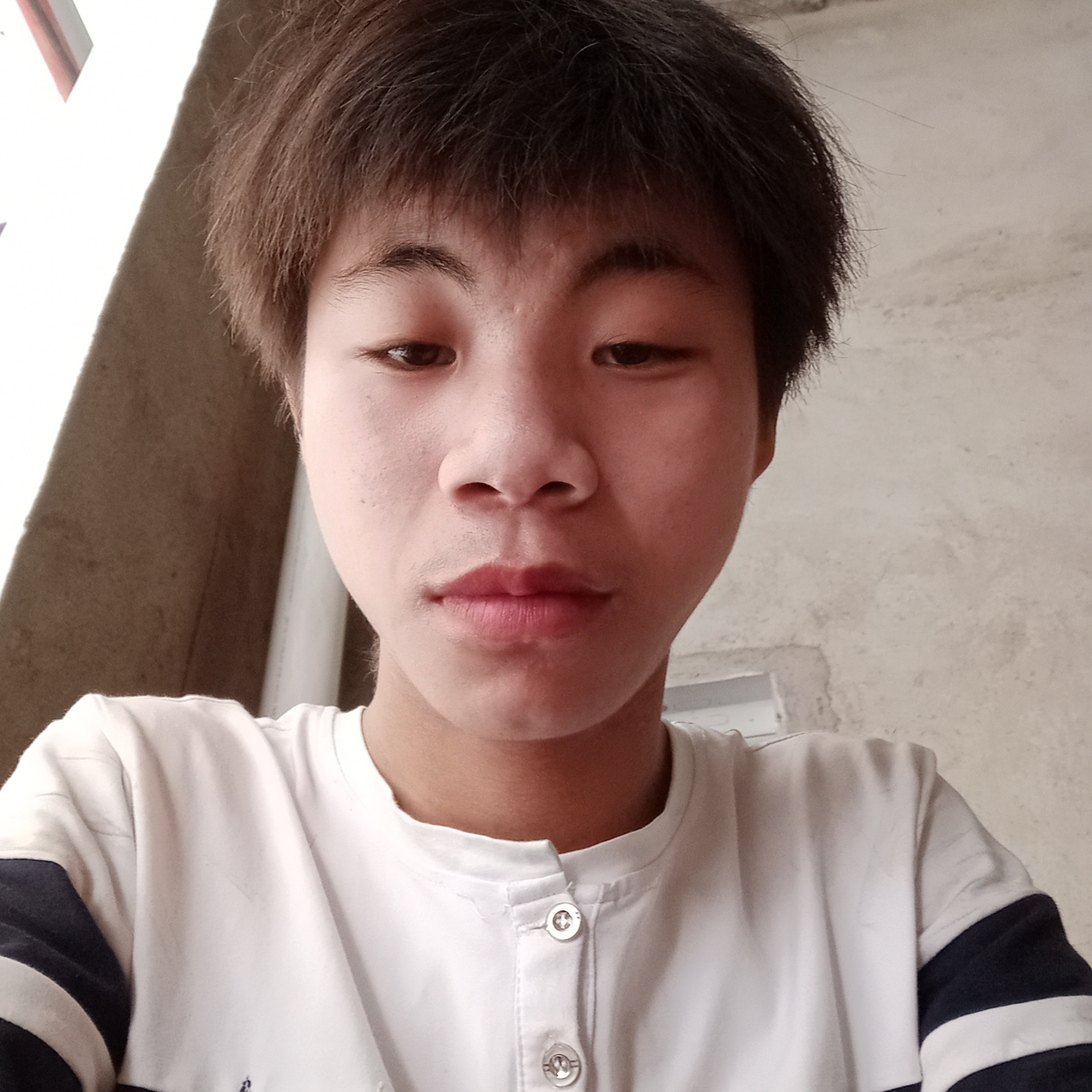 纯煌的照片