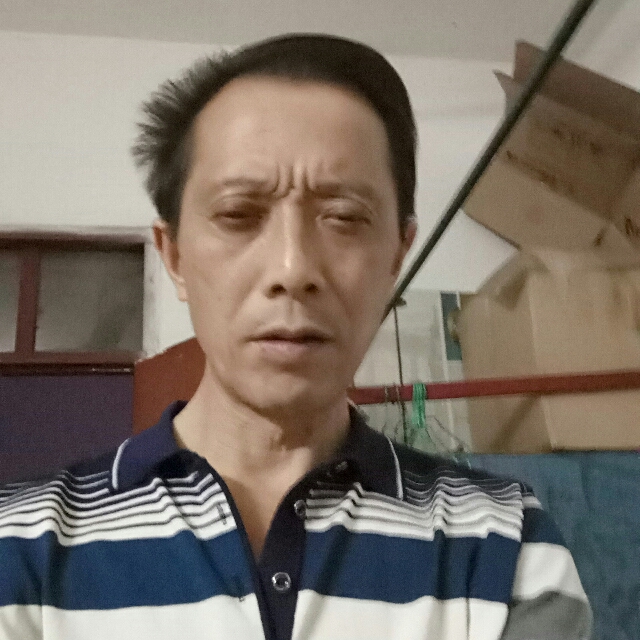 鸭子笑优美的照片