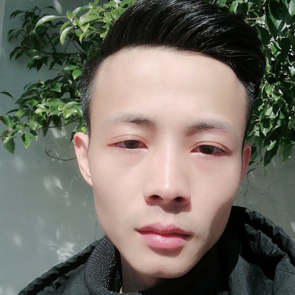 粗心母鸡的照片