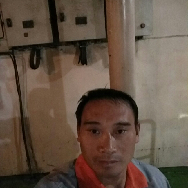 舒荷斑驳的照片