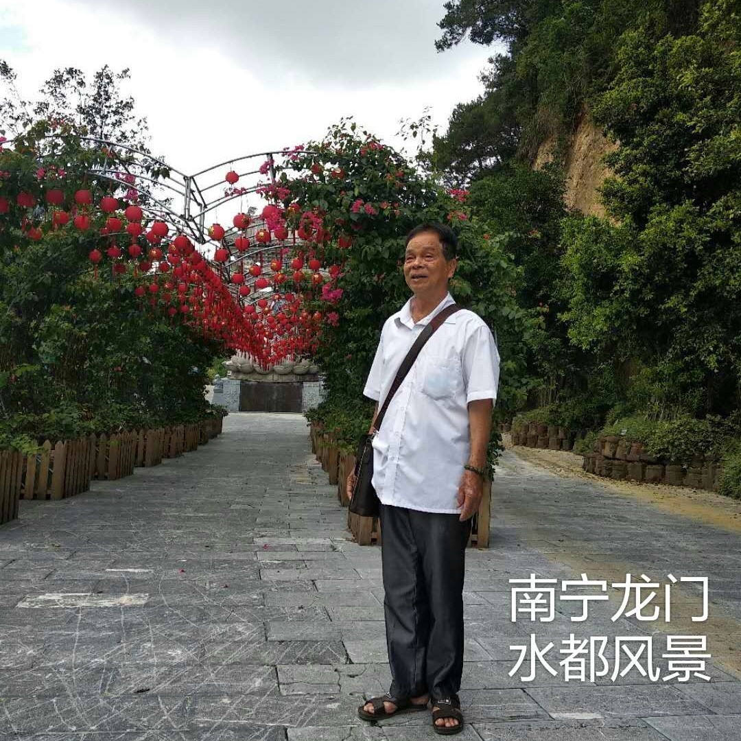 离歌相许光亮的照片