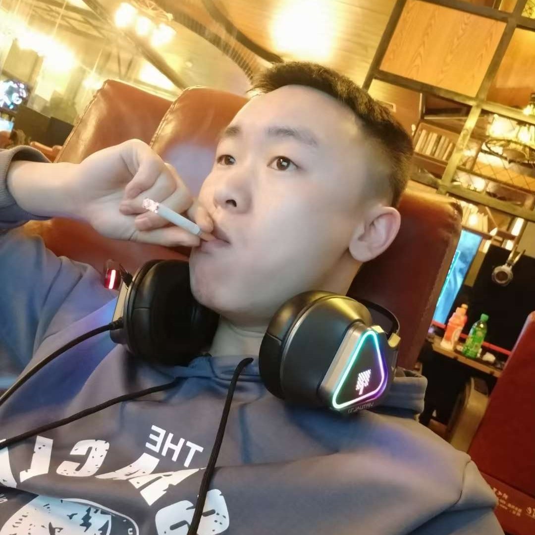 彩色回首鸭子的照片